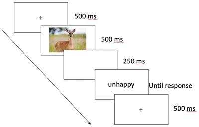 Implicit measures of anthropomorphism: affective priming and recognition of apparent animal emotions